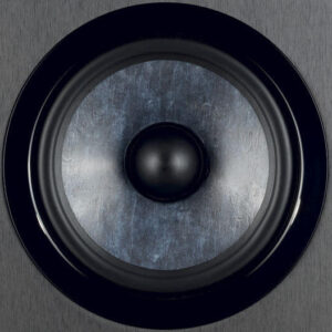 Focal Chora Surround Noir (la paire) – Image 4