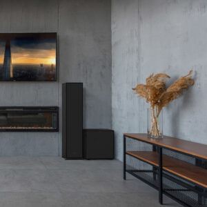 KLIPSCH R-800F Edition 2022 (la paire) – Image 9