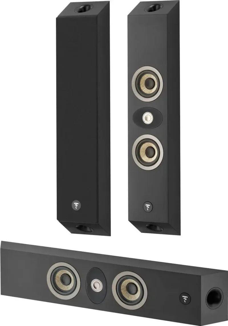 Focal On Wall 301 3.0