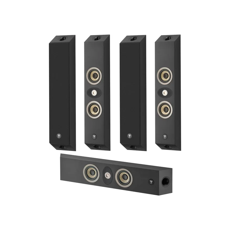 Focal On Wall 301 5.0